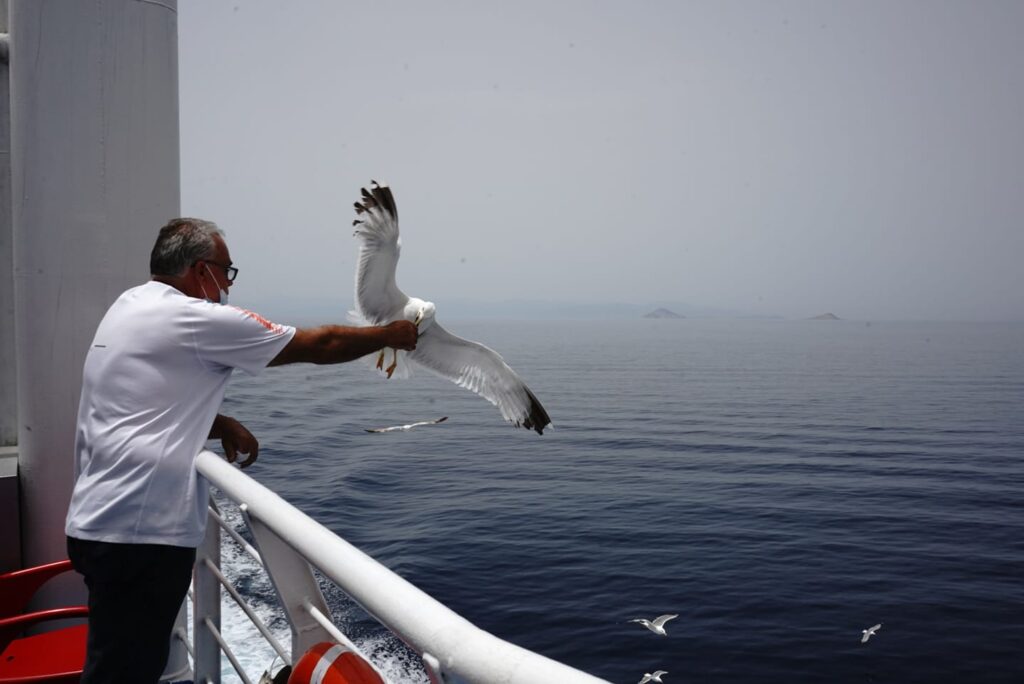 A man feeding seagulls on the deck of a ferry.
Aegean sea,June 22,2021.